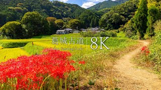 【神々の故郷】葛城古道で出会うノスタルジックな原風景22選  Nara  JAPAN in 8K [upl. by Anaitsirhc]