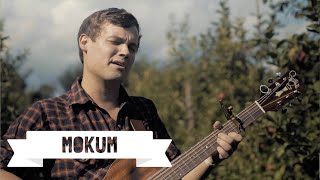 Brandon Luedtke  The Cuckoo Bird • Mokum Sessions 371 [upl. by Montanez]