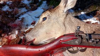 Flintlock Deer Hunting Doe Harvested with a smoothbore [upl. by Malda484]