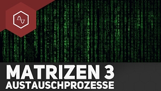 Austauschprozesse amp Übergangsmatrix – Matrizen 3 [upl. by Brine]