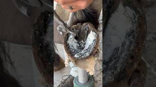 Trimming super overgrown horse hoof farrier satisfying asmr [upl. by Namhcan]