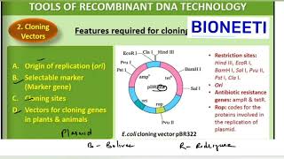 Cloning Vectors Types amp Features Biotechnology Principles amp Processes CBSE 12 Biology NCERT [upl. by Ahseiyk]