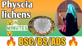 Physcia  Lichens and its types  Life cycleExternal and Internal structure [upl. by Divadnahtanoj]