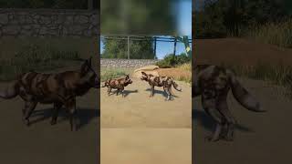 🐕 African Wild Dog Mating Animation  Planet Zoo [upl. by Sileray]