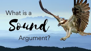 What is a Sound Argument  Deductive Soundness Explained [upl. by Mccormac]