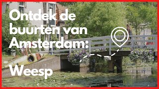 Weesp Jurriën  De buurten van Amsterdam  Uit in Amsterdam [upl. by Bobbette244]