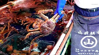 Hakodate Seafood Market  Japan [upl. by Salomon271]