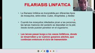 FILARIASIS ONCOCERCOSIS Y LOASIS [upl. by Basile581]