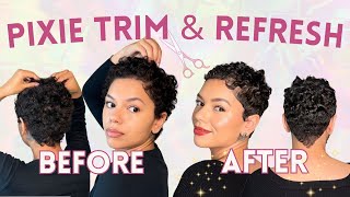 CURLY PIXIE CUT TRIM amp REFRESH  my 100 DIY pixie haircut maintenance and styling [upl. by Ana]