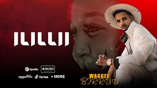 Ilillii New Afan Oromo Music 2024 by Waggee Birruu SOFUMAR TUBE Official vidio [upl. by Aenaj688]