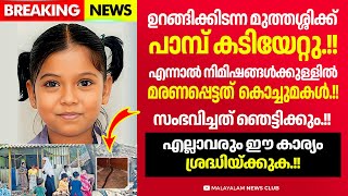 പാലക്കാട് നടന്ന സംഭവം ഈ കാര്യങ്ങൾ ശ്രദ്ധിച്ചില്ലെങ്കിൽ ഇത് എല്ലാവർക്കും സംഭവിക്കാം [upl. by Dranal581]