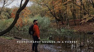 The sounds of photography in Epping forest [upl. by Boy44]