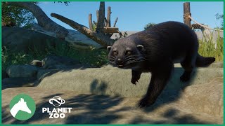 Binturong Enclosure  Elm Hill City Zoo  Planet Zoo [upl. by Eidoc]