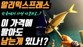 하나 구비해두면 200 만족하는 알리익스프레스 추천 아이템 BEST [upl. by Aldis]