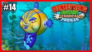 Donkey Kong Country Tropical Freeze 14 Current Capers e Boss Fugu FaceOff [upl. by Devehcoy]