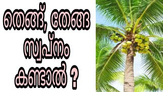 thenga swapnam kandal swapna vyakyanam islam malayalam islamic speech phalam thengu cocunut tree dua [upl. by Lovato]