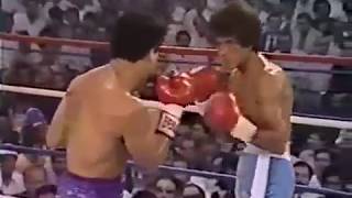 Salvador Sanchez vs Wilfredo Gomez †pelea completa [upl. by Gaylord]