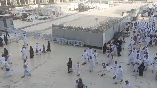 omrah Hajj 2024 [upl. by Atinaw]