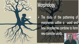 MORPHOLOGICAL TYPOLOGY [upl. by Gratt977]