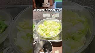 【ディズニー徒歩60秒】朝食にサイゼリヤ食べ放題のホテルを見つけました！ホテルドリームゲート舞浜 ディズニー ホテル ディズニーホテル [upl. by Tita]