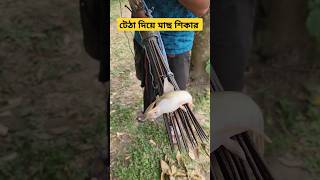 পদ্মা নদীতে টেঠা দিয়ে ইঠি মাছ শিকারriver fishing viralvideo [upl. by Eliseo]