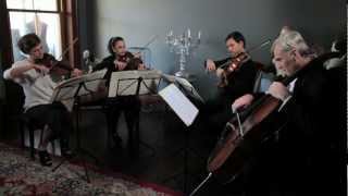 Call Me Maybe  Carly Rae Jepsen  Stringspace String Quartet [upl. by Notgnirrac952]