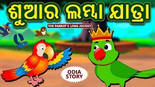 ଶୁଆର ଲମ୍ବା ଯାତ୍ରା  The Parrots Long Journey  Odia Story for Children  Odia Fairy Tales [upl. by Acinomad656]