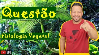 Fisiologia Vegetal  Questão  Geotropismo e Fototropismo  Crescimento Vegetal  Botânica [upl. by Anelac]