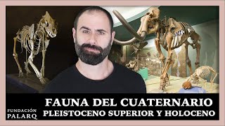 Fauna del Cuaternario Pleistoceno Superior y Holoceno [upl. by Drhacir627]