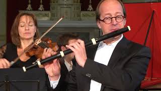 Flute Concerto in D minor Wq22  Allegro Di Molto  CPE Bach Il Gardellino  Jan De Winne [upl. by Atiuqram]