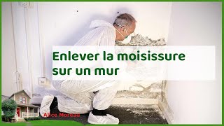 Enlever les moisissures sur les murs et papier peint  astuces et conseils pratiques [upl. by Inattirb]