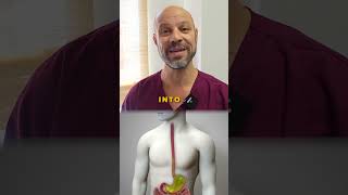 What Is LPR Silent Reflux Laryngopharyngeal Reflux [upl. by Anselmo]