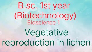 Vegetative reproduction in LichenBSc1yearBiotechnologyBioscience1 trending youtube botany [upl. by Aeli]