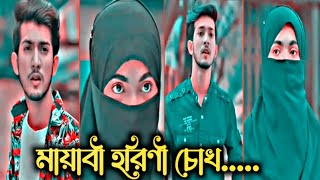 মায়াবী হরিনী চোখ Shanto new romantic love States video trending story love viralvideo short [upl. by Laughlin]