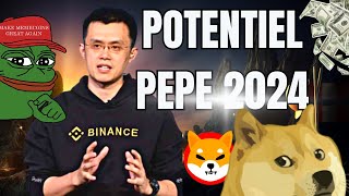 🐸 Pepe  Son Potentiel en 2024 vs Shiba Inu DogeCoin et BONK [upl. by Malita]