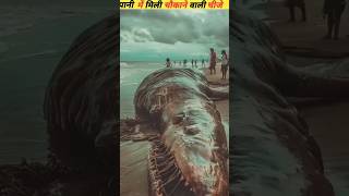 Samudra ki Monster  amazing facts about hindi shortfacts shorts [upl. by Cir]