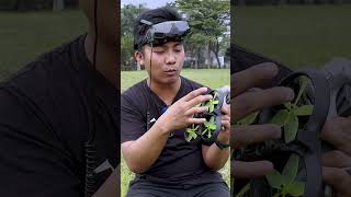 Buat yang pengen upgrade dari DJI Avata ke DJI Avata 2 wajib tonton video komparasi kami nih Sob [upl. by Carlile393]