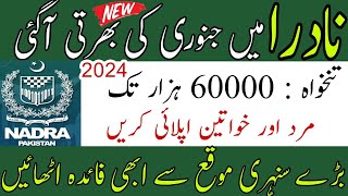 How to Apply for Nadra Jobs 2024 Online  Nadra Office Jobs Online Apply 2024  StepbyStep Guide [upl. by Enylcaj]