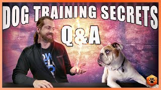 Secrets to Training the Perfect Dog QampA with Ian Stone [upl. by Sayres]