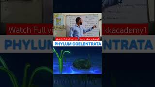 Phylum coelentrata biology teaching shorts viralshorts trendingshorts kksir [upl. by Enahsal]