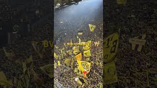 Das schönste Stadion der Welt BVBSTP shorts youneverwalkalone bvb borussiadortmund fun [upl. by Tobe]