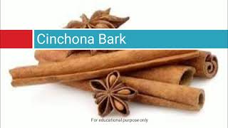 Cinchona Bark Macroscopy and Microscopy [upl. by Nywloc]