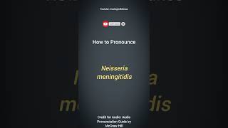 Neisseria meningitidis Pronunciation  Microbiology Pronunciation Guide  Microbial Nomenclature [upl. by Karel]