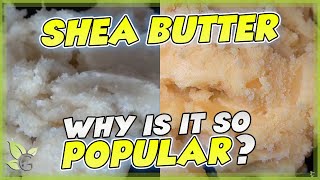 SHEA BUTTER how to identify the REAL from the FAKE [upl. by Filbert141]