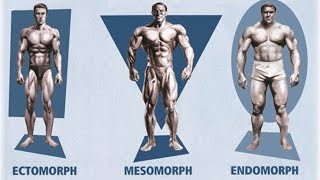 Ectomorph Endomorph Mesomorph How To Train amp Eat For YOUR Body Type [upl. by Eyram]