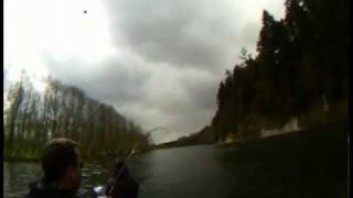 Steelhead on the Cowlitz with Todd Daniels [upl. by Ahsoik894]