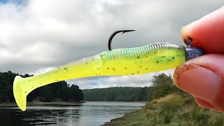 SOFT PLASTICS FISHING FOR BEGINNERS [upl. by Odnavres212]