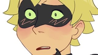 Miraculous Ladybug Comic Dub  The Ladyblog  PHANTOMSAVAGE [upl. by Nolek150]