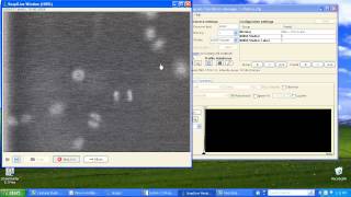 Basic Digital Microscopy with MicroManager [upl. by Ydaf]