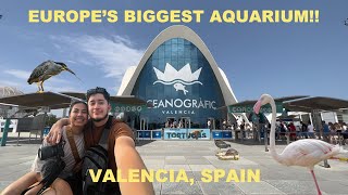 Oceanographic Valencia  The largest aquarium in Europe  Valencia Spain Oceanographic 2022 [upl. by Ybbob968]